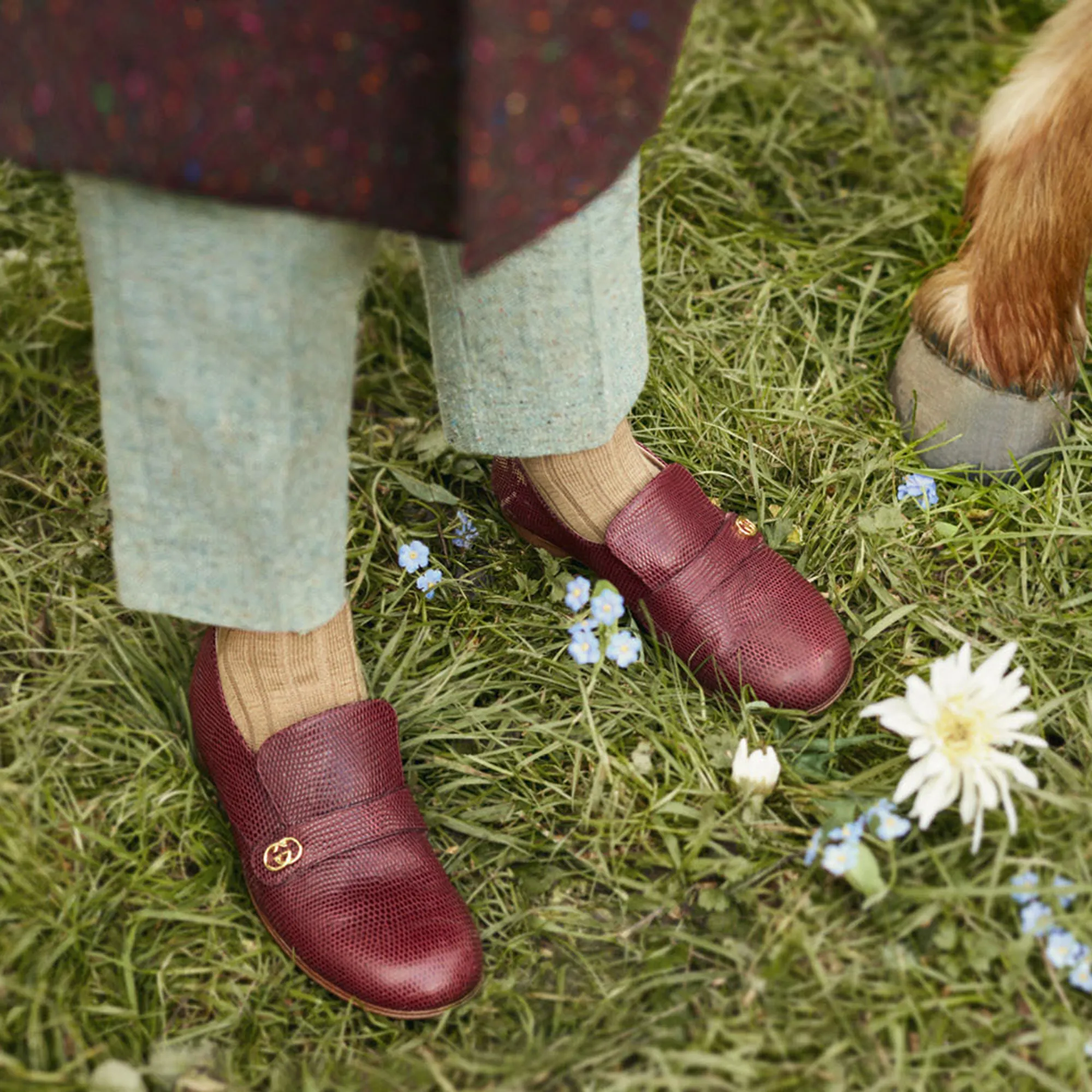 Burgundy Leather Shoes