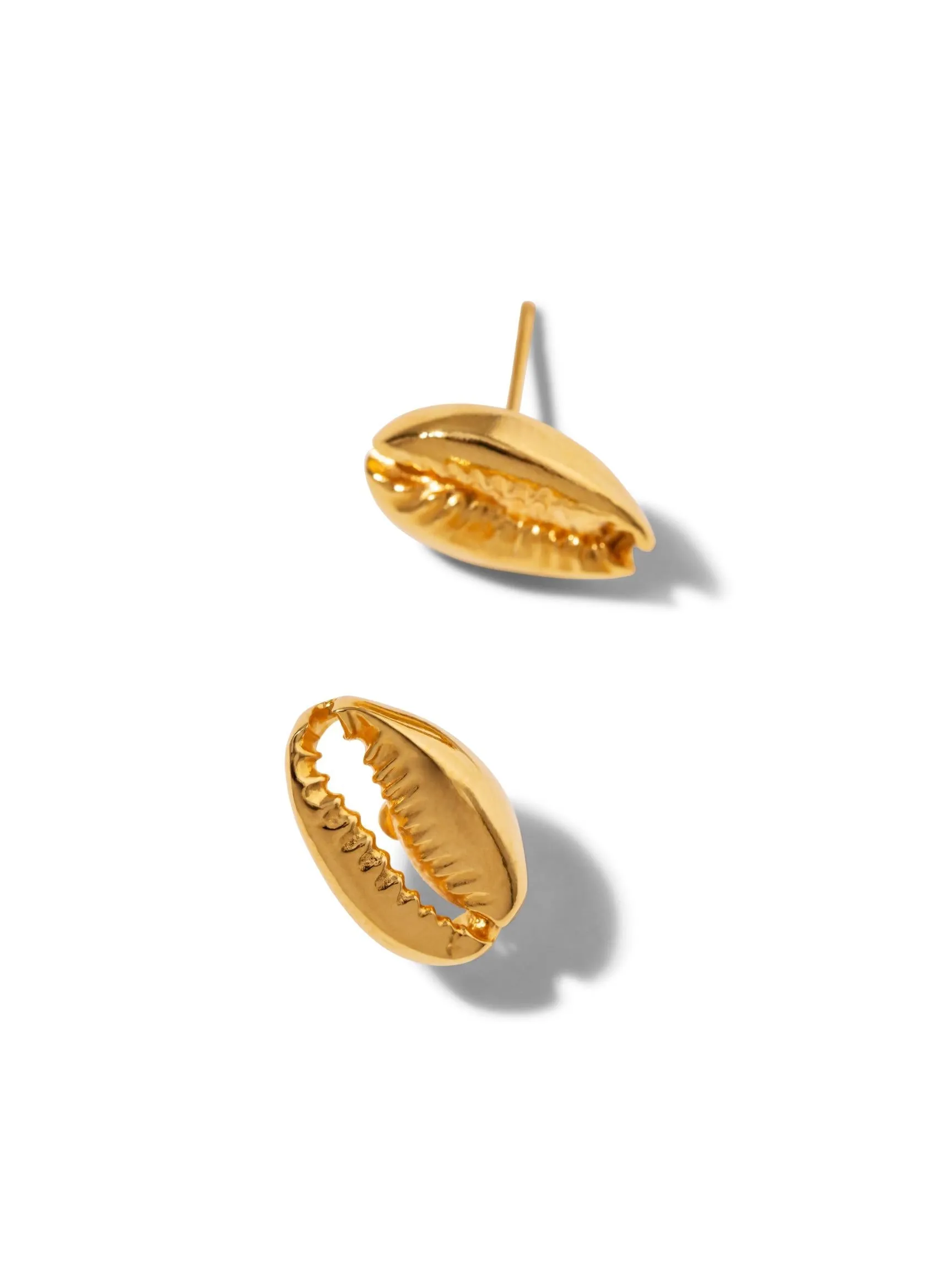 Gold Cowrie Stud Post Earrings