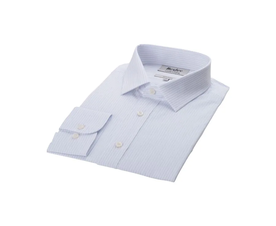 White & Blue striped poplin shirt - BERTHIN